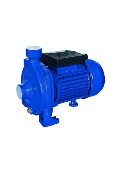 Bestpump 1 Hp-220v-salyangoz Santrifüj Su Pompası-bakır Sargı