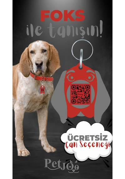 Petjoo 29.Foks Gri-Kırmızı Qr'lı Köpek Künyesi