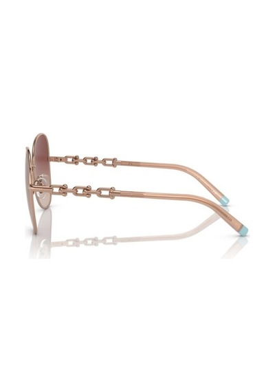 Tiffany & Co. 0tf3086 61053n57 Kadın Güneş Gözlüğü