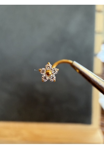 Yüksek Kalite G23 Titanium Beş Taş Papatya Zirkon 6x0.8mm Altın Titanyum Hızma Piercing