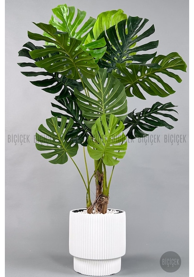 Biçiçek Yapay Monstera Ağacı Deve Tabani 160 Cm Beyaz Vega Saksıda