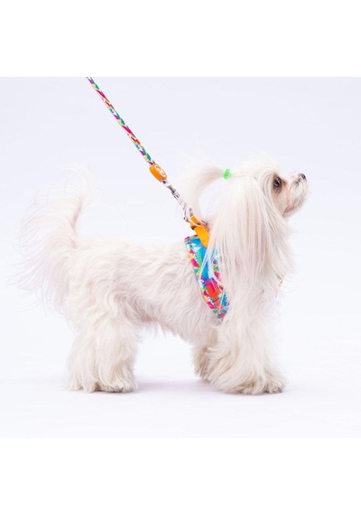 Pawstar Airmesh Mosaic Göğüs Tasması Çok Renkli
