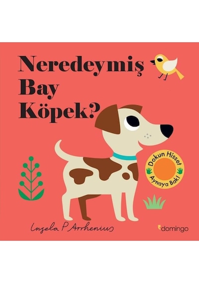 Neredeymiş Bay Köpek? Dokun Hisset Aynaya Bak!- Domingo Yayınevi