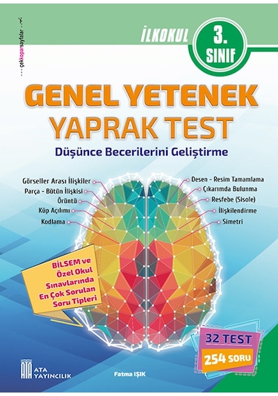 3. Sınıf Bilsem Genel Yetenek Yaprak Test