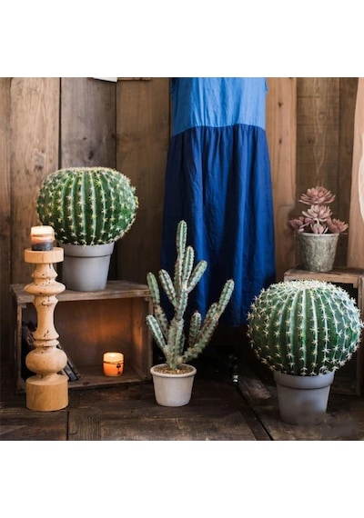 Yapay Çiçek Echinocactus Grusonii Altın Fıçı Kaktüs Siyah Saksıda 35 25m Cactüs Sk4010s