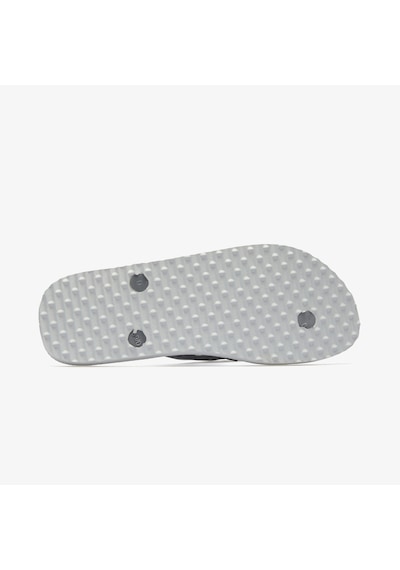 Havaianas Track Go Erkek Gri Terlik 4149820
