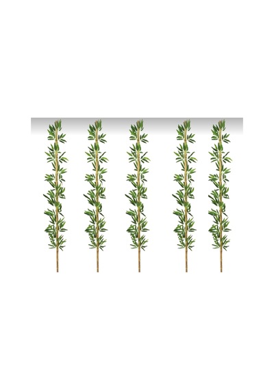 Rüzgar Yapay Çiçekçilik 2 Metre 5 Adet Bambu Yeşil