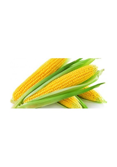 Süt Mısır Tohumu Darı Tohumu Mısır Tohumu 15 Tohum + Tohum