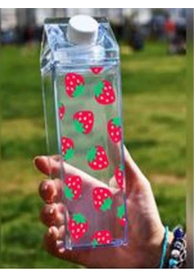 Mystyle St-51 500 Ml Mika Süt Şişesi Çilek
