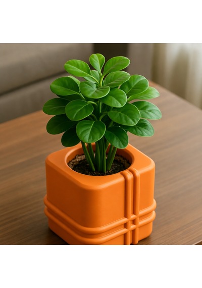 3d Baskı Square Planter - Izgara Desenli Küp Saksı-turuncu