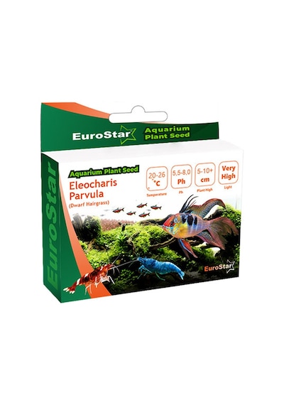 Cosmotex Eurostar Bitki Tohumu Eleocharis Parvula