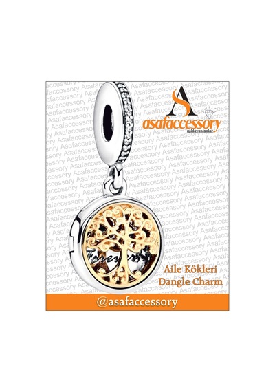 Aile Kökleri Dangle Charm Gümüş