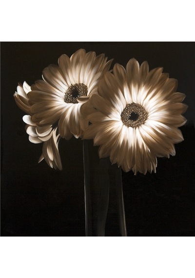 Siyah Zemin Lale Gerbera Ve Çiçekler Doğal Taş Bardak Altlığı 4'lü Set - Natural Stone Coasters - Taş Siyah