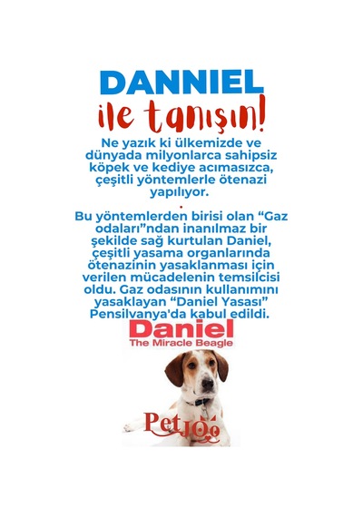 Petjoo 21.Danniel Kırmızı-Mavi Qr'lı Köpek Künyesi