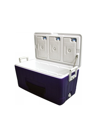 Lalizas Portatif Buzluk 80 Litre