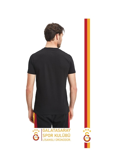 Galatasaray Lisanslı Arma T-shirt Gs Aslan Baskılı Ahşap Kutulu 100 Siyah