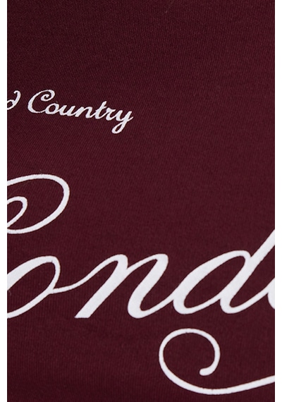 Tudors Kadın Slim Fit Dar Kesim %100 Pamuk Bisiklet Yaka Kısa Kollu Baskılı Bordo Crop Tişört-50533