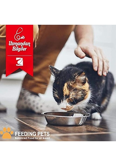 Mix Adult Cat Tavuklu Ve Balıklı Renkli Taneli Yetişkin Kedi Sı 1 Kg 100 G