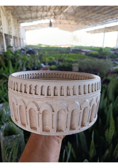 Antik Beyaz Kemerli Roma Tarzı Saksı 21 10 Cm Ve Para Çiçeği