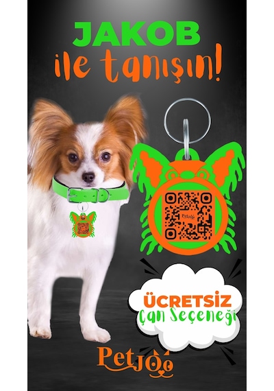 Petjoo 8.Jakob Turuncu-Yeşil Qr'lı Köpek Künyesi
