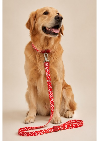 Köpekler İçin Dayanıklı Ve Güvenli, Desenli Gezdirme Tasması 25mm Kırmızı