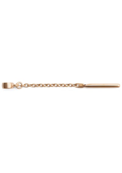 Daniel Wellington Dw00401484 Kadın Küpe Diğer
