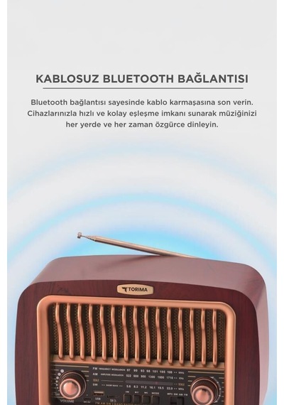 Özel Seri Bluetooth Hoparlör D59 Kahverengi Eski Tarz Ahşap Ev