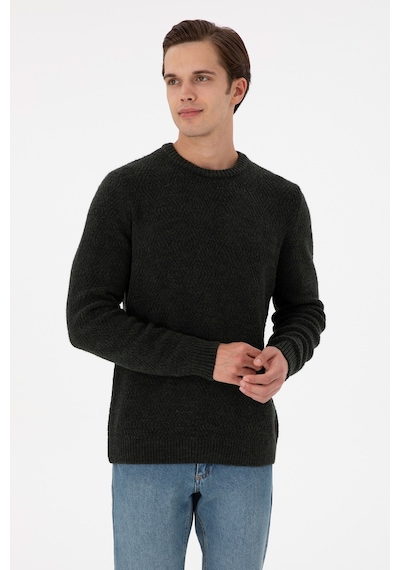 U.S. Polo Assn.  Erkek Regular Fit Bisiklet Yaka Koyu Yeşil Kazak 50297049-VR079