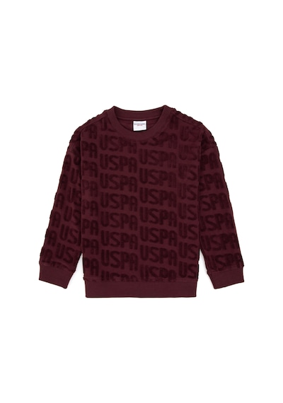 U.s. Polo Assn. Erkek Çocuk Plum Sweatshirt 50308515-vr177 New Plum U.s. Polo Assn. Erkek Çocuk Plum Sweatshirt 50308515-vr177 New Plum