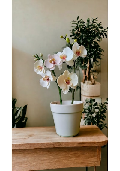 Silikon Kalıp / Flowers : Orchid & Leave / Çiçekler :orkide & Yaprak