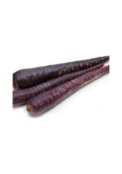 Mor Havuç Tohumu - 5 Gram