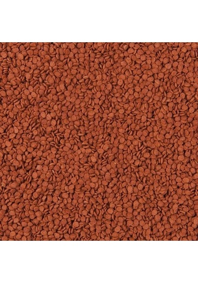 Tropical Tanganyika Chips 1000 Gr Açık Bölme