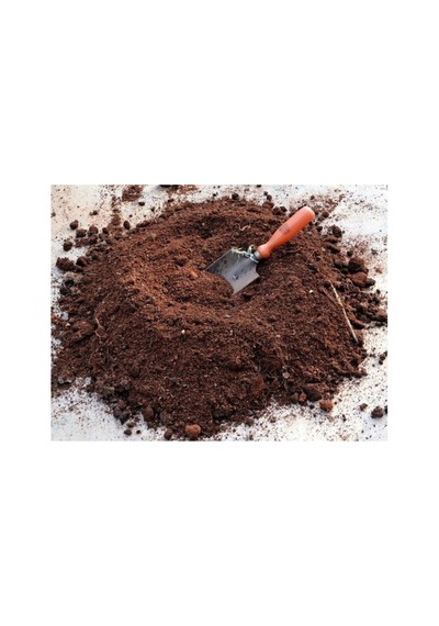 Özel Kaktüs Toprağı 5 Kğ 5 KG