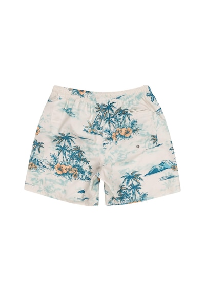 Quiksilver Eqyjv04063 Longmanhill Volley Erkek Şort Mayo 001