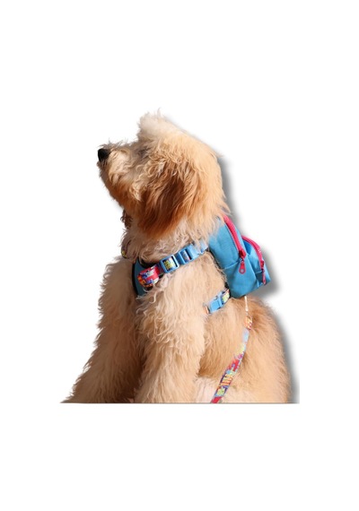 Gimme Five Mavi Çantalı Göğüs Tasması, Köpek Sırt Çantası Göğüs Tasması İşlevli, Geri Dönüştü