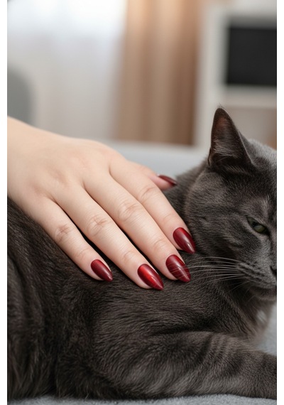 Kısa Badem Kedi Gözü Large Beden 10 Adet Takma Tırnak Seti - My06 Bordo