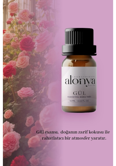 Gül Esansiyel Uçucu Koku Yağı Buhurdanlık Esansı Oda Kokusu Ve Aromaterapi Yağı 10 Ml Gül