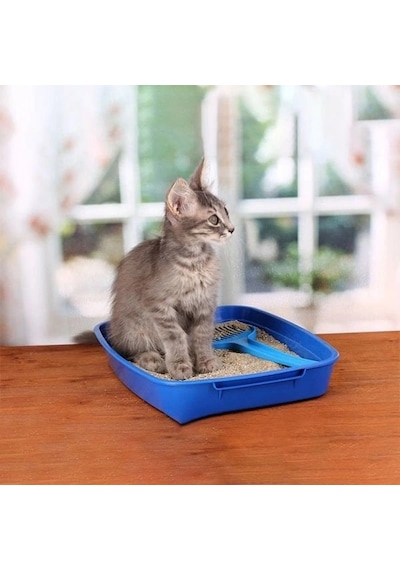 Proline Lavanta Kokulu Topaklanan Bentonit Kedi Kumu 1 Adet 10 Lt