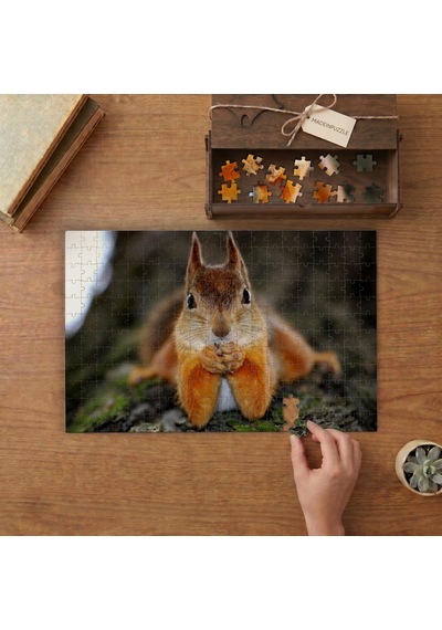 Sevimli Sincap Tasarımı 240 Parça Ahşap Puzzle Ahşap Kutuda Mpy20442
