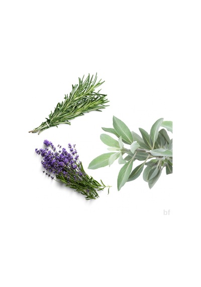 10 'lu Tıbbı Aromatik Bitki Paketi