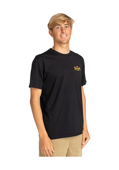 Bıllabong Billabong Dreamy Place Tees Erkek Siyah Tişört 19 SIYAH