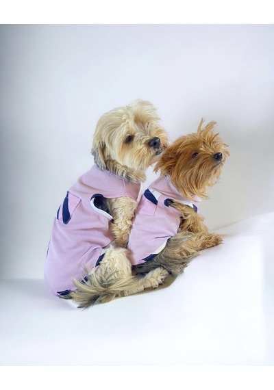 Light Purple Bb Atlet Köpek Kıyafeti Köpek Elbisesi
