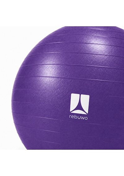Rebuwo Pilates Topu 65 Cm Mor
