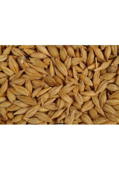 Arpa Tane 1 KG