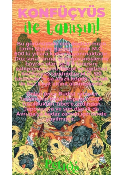 Petjoo 9.Konfüçyüs Yeşil-Pembe Qr'lı Köpek Künyesi
