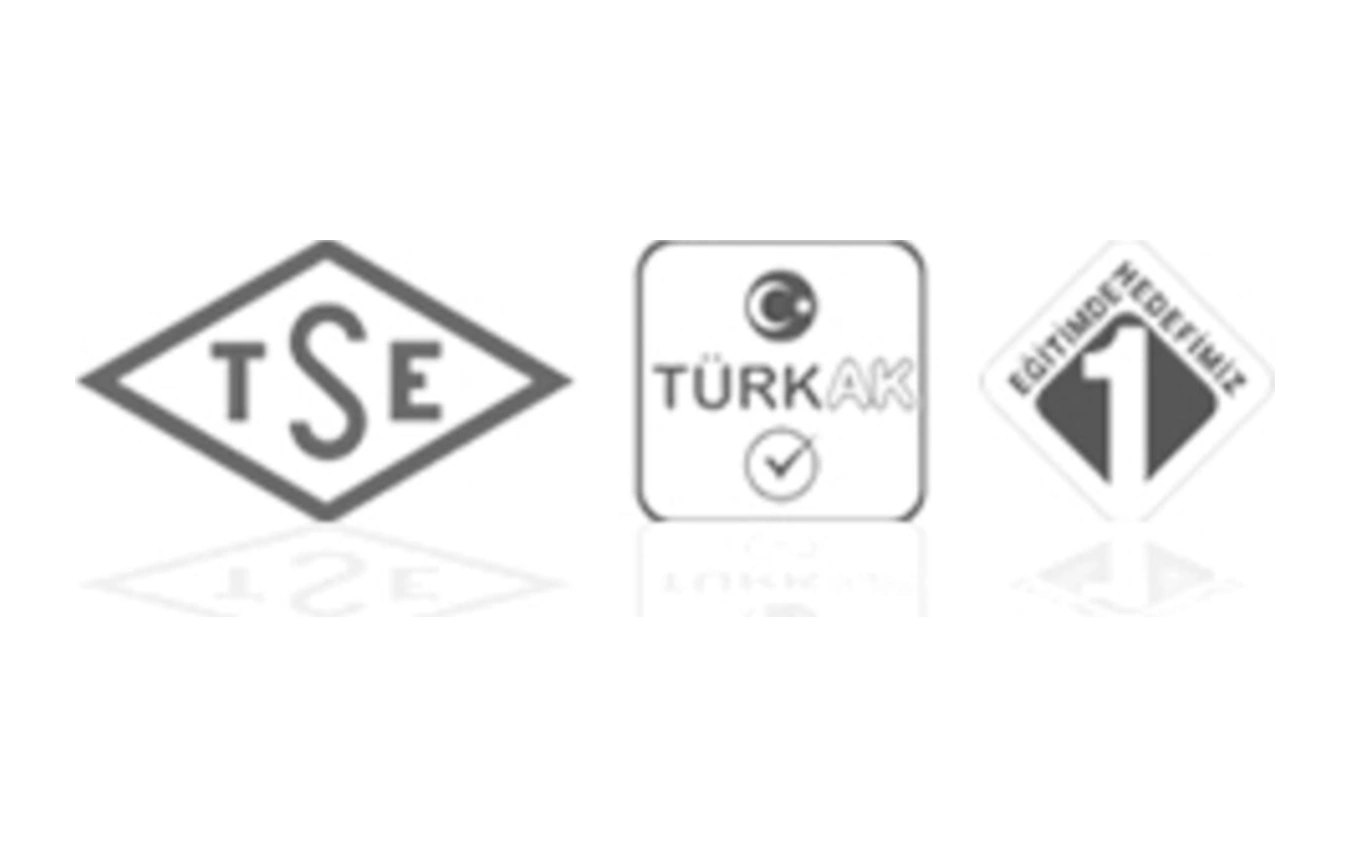 Akıllı Tahta Kalemi 3'lü Paket Renkli