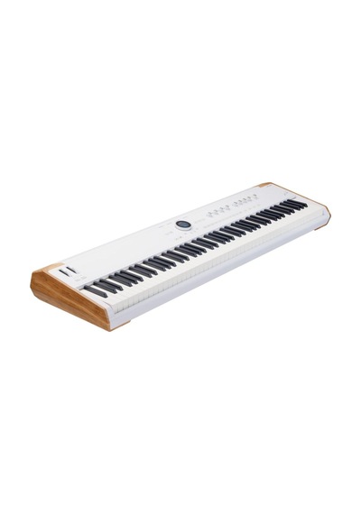 Arturia Astrolab 88