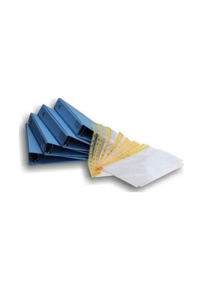 A4 Dissipative Klasör
