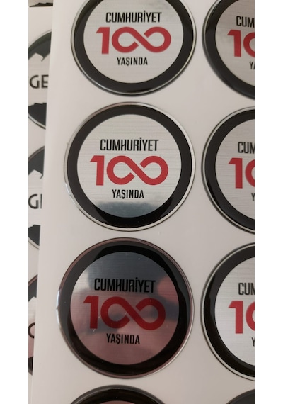 Cumhuriyet 100 Yaşında Silikon Logo Fiat - Egea - Cross