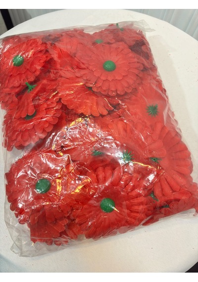 Kırmızı Gerbera Çiçekleri 75 Adet